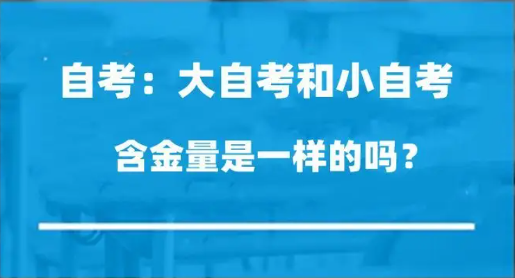 大自考和小自考的区别？含金量高低？