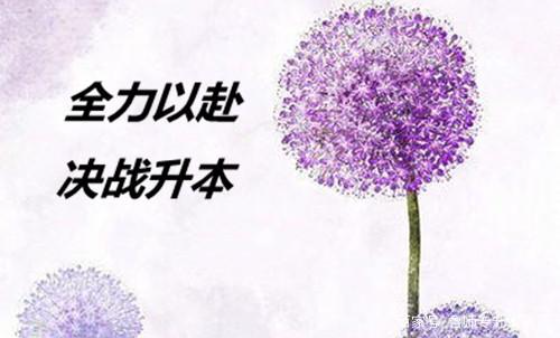 成人本科学历：自考本科和成考本科，哪个比较好呢？