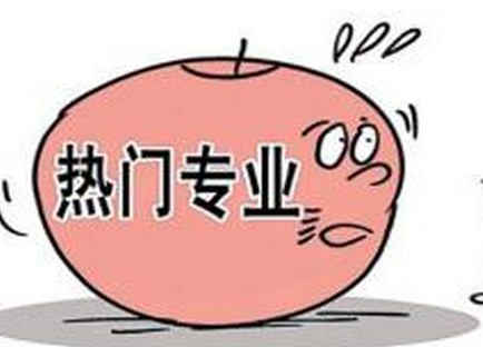 自考本科学历报考公务员有什么热门专业呢？