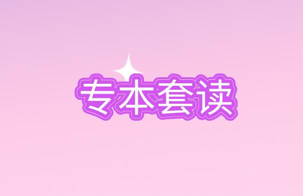 了解下专本套读