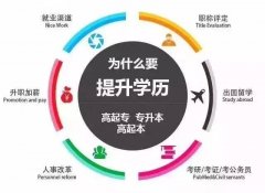2020在职研究生报考时间定了吗?