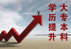 自学考试为什么每年的报考人数一直在有所增加呢