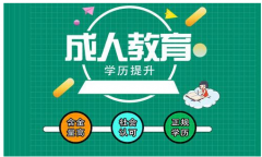 学历提升教你如何逆袭