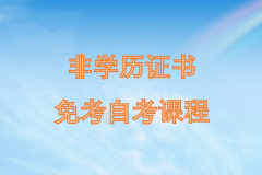 听说非学历证书也可免考自考课程，那么都有哪些证书可以免考呢