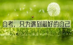 报考成人高考有哪些事项是需要注意的