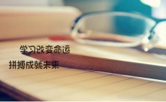 自考网上报名安排是怎样的