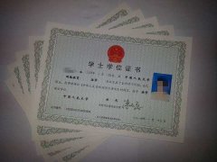 自考公共课、基础课、专业课、选考课，有什么