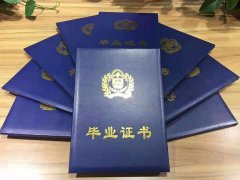 2019下半年实践考核安排丨河南科技大学